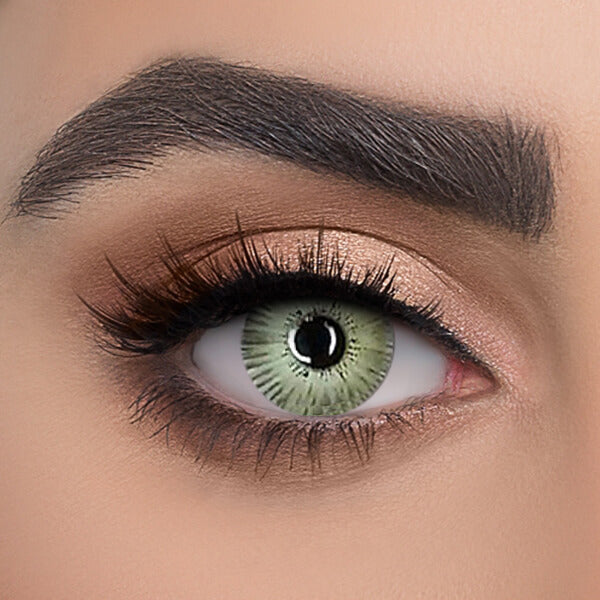 New York Gray - 2 Lenses - Half Yearly