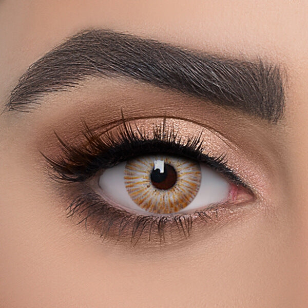 New York Brown - 2 Lenses - Half Yearly