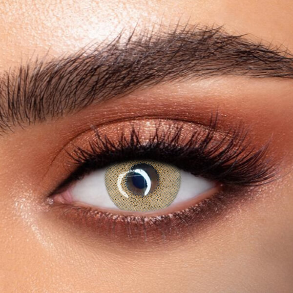 Ocean Brown - 2 Lenses - Half Yearly