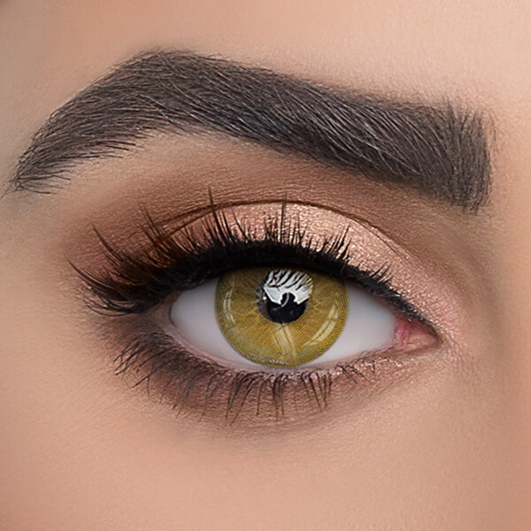 Pixie Brown - 2 Lenses - Half Yearly