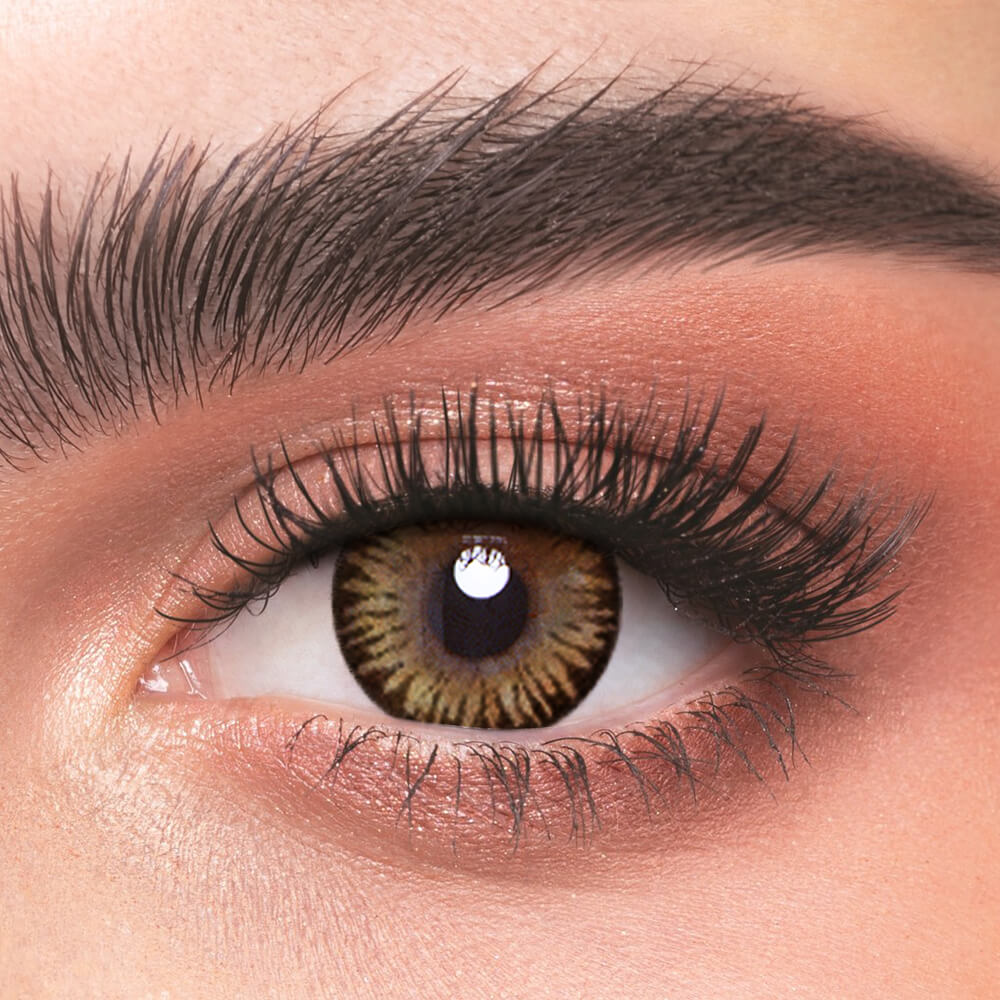 Rainbow Brown - 2 Lenses - Half Yearly