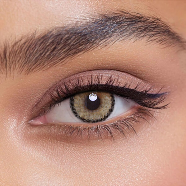 Rebel Brown - 2 Lenses - Half Yearly
