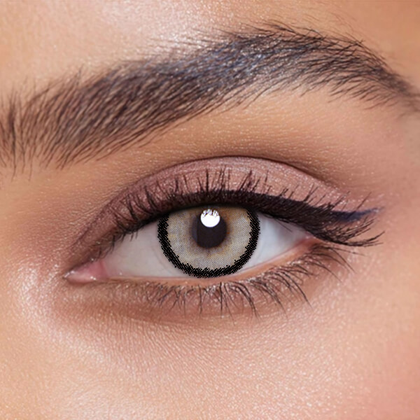 Rebel Gray - 2 Lenses - Half Yearly