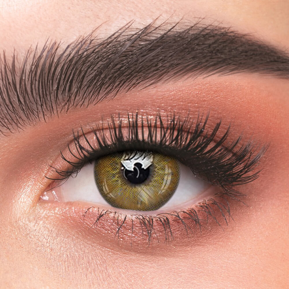 Russian Brown - 2 Lenses - Half Yearly