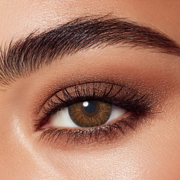 Three Tone Brown - 2 Lenses - Half Yearly
