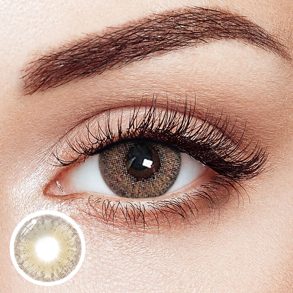 Wildcat Brown - 2 Lenses - Half Yearly