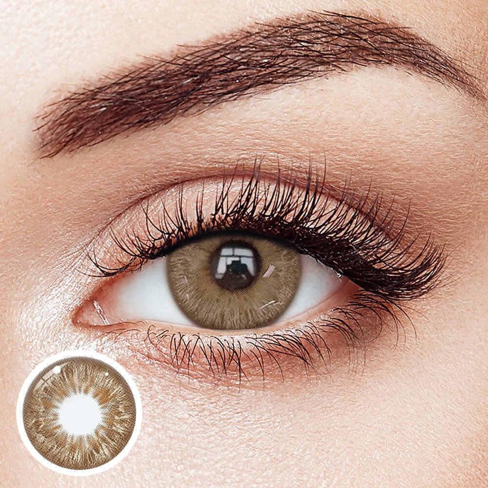 Wildness Leopard Brown - 2 Lenses - Half Yearly