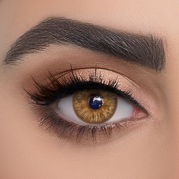 Wildness Leopard Brown - 2 Lenses - Half Yearly