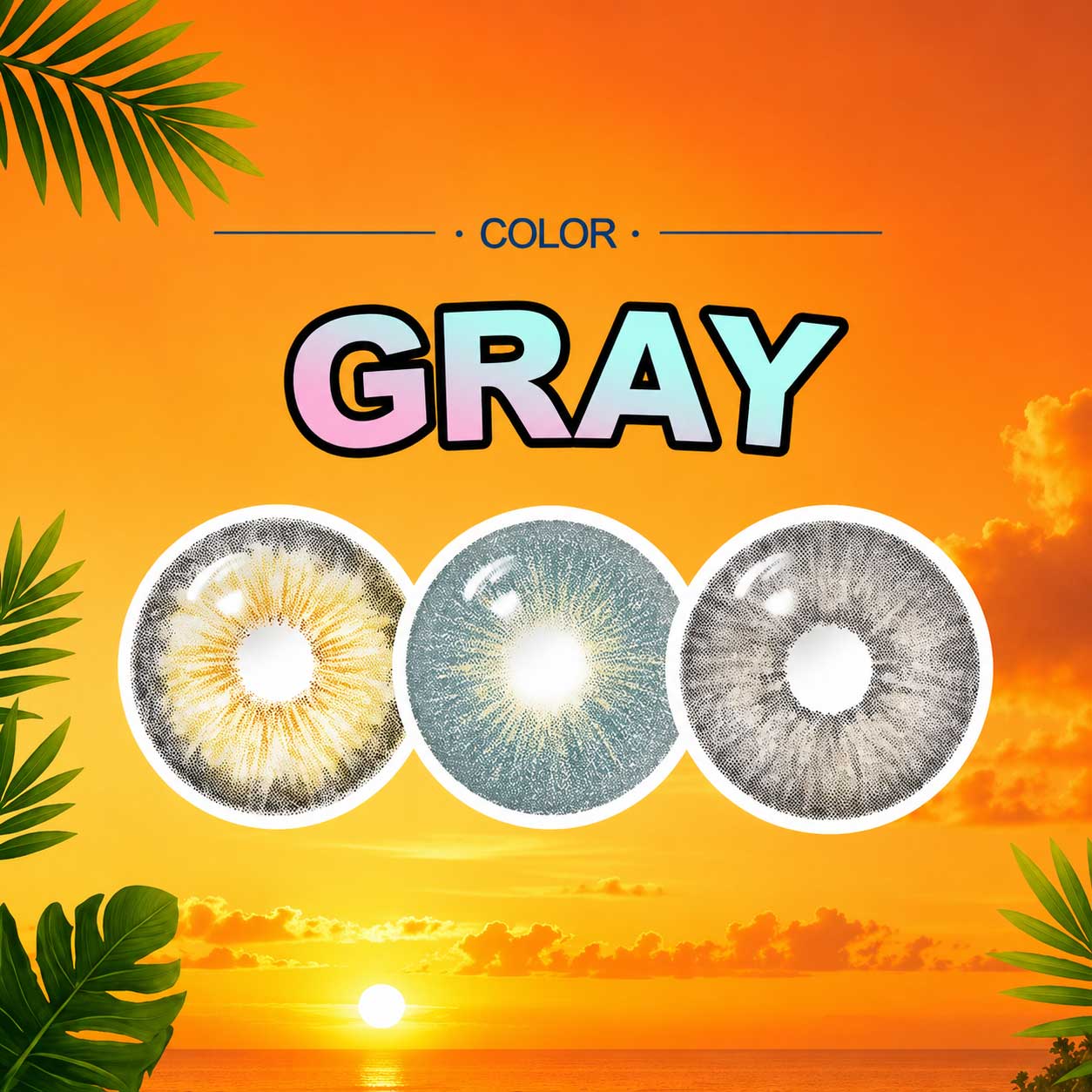 Gray Color Contact Lenses