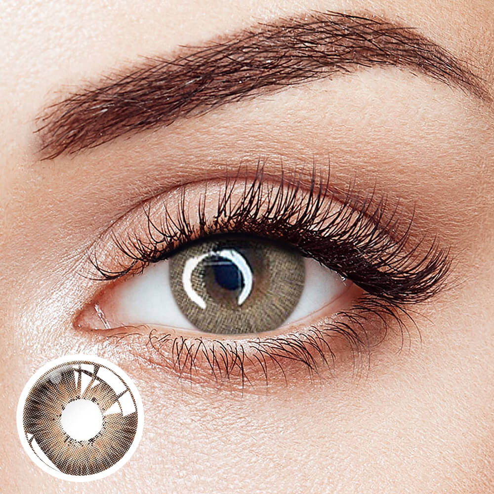 Pattaya Brown - 2 Lenses - Half Yearly