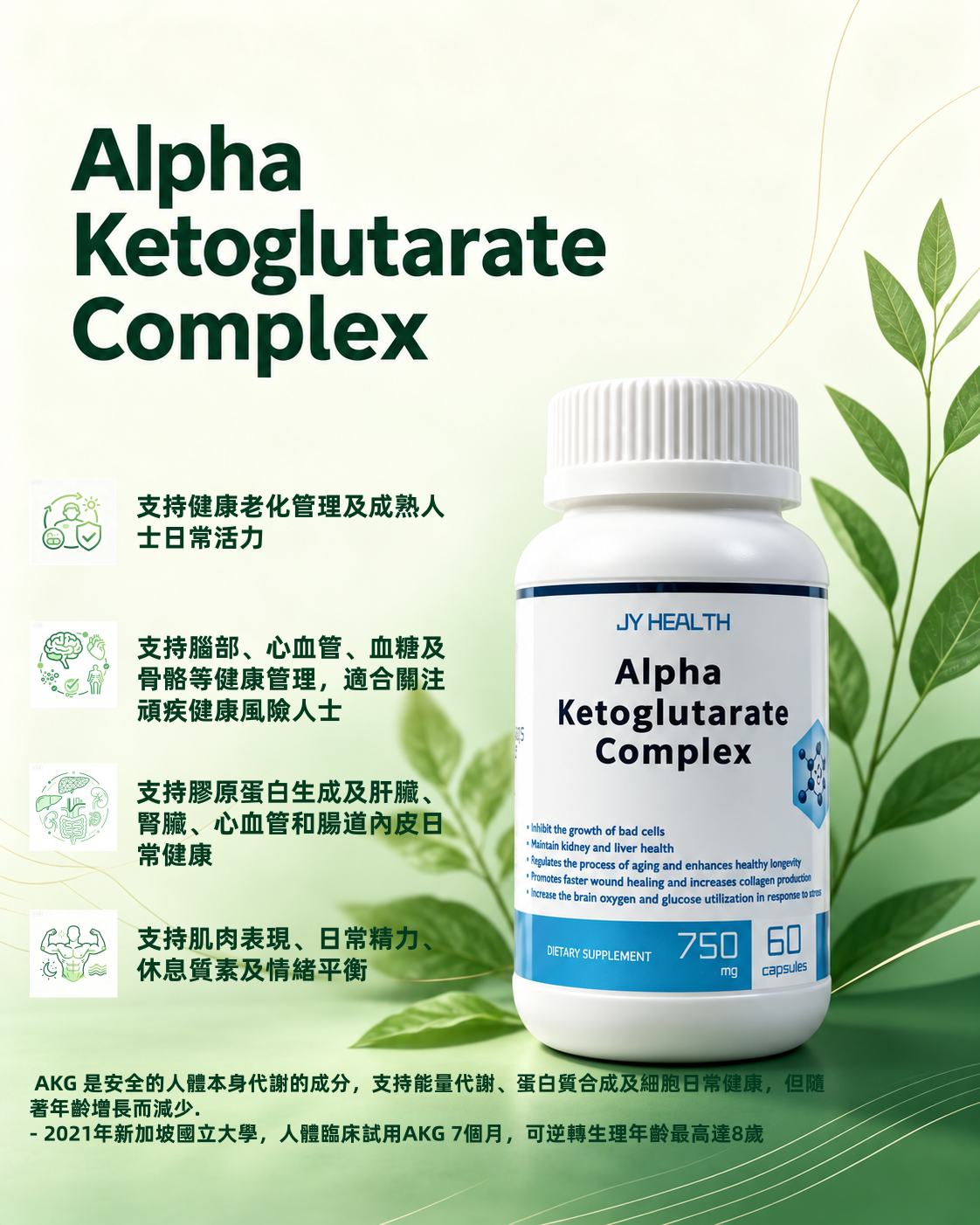 Alpha Ketoglutarate complex