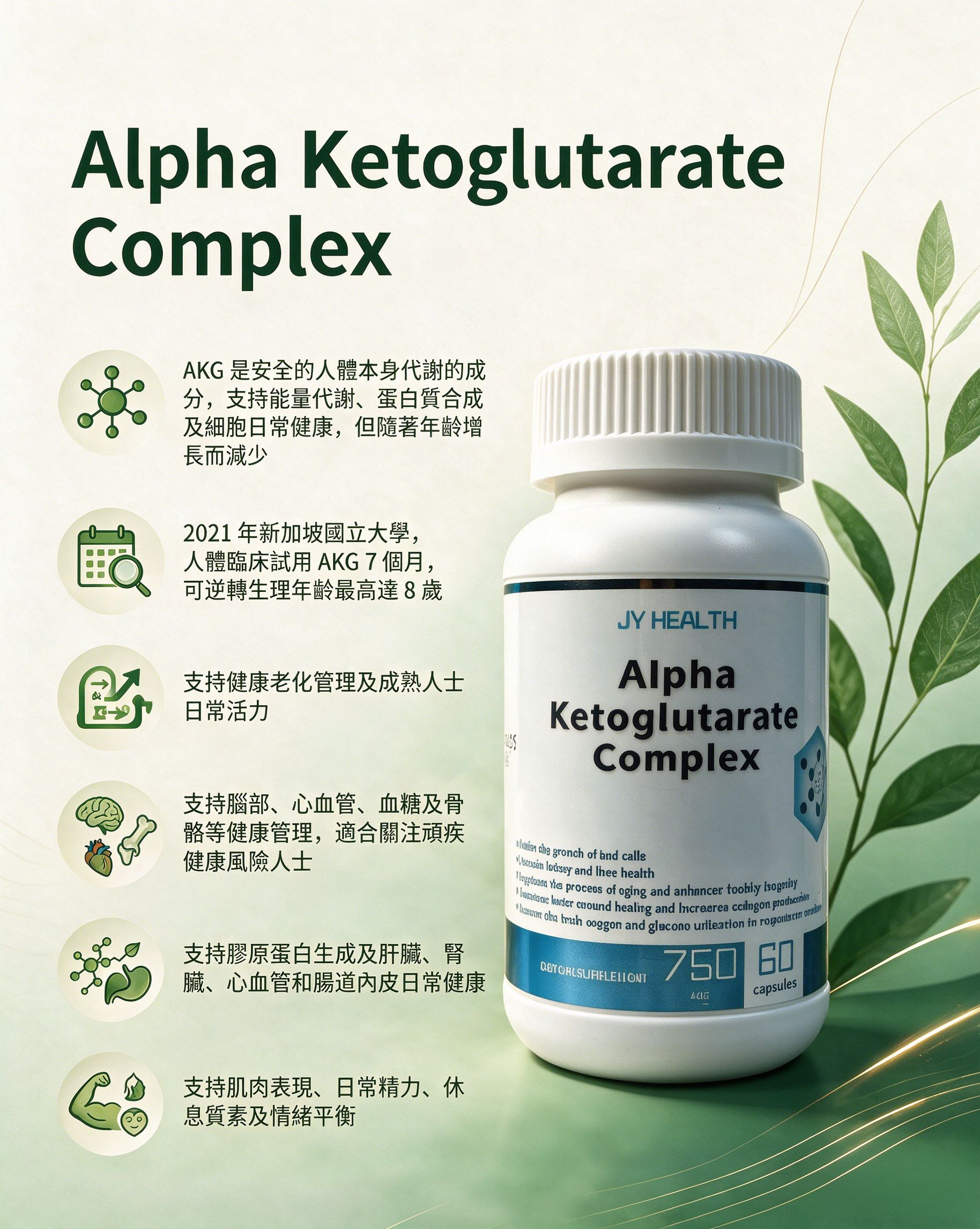Alpha Ketoglutarate complex