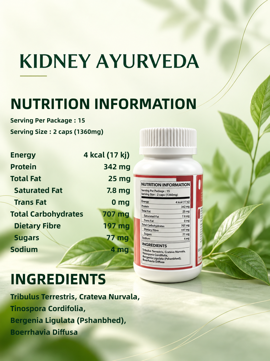Kidney Ayurveda 