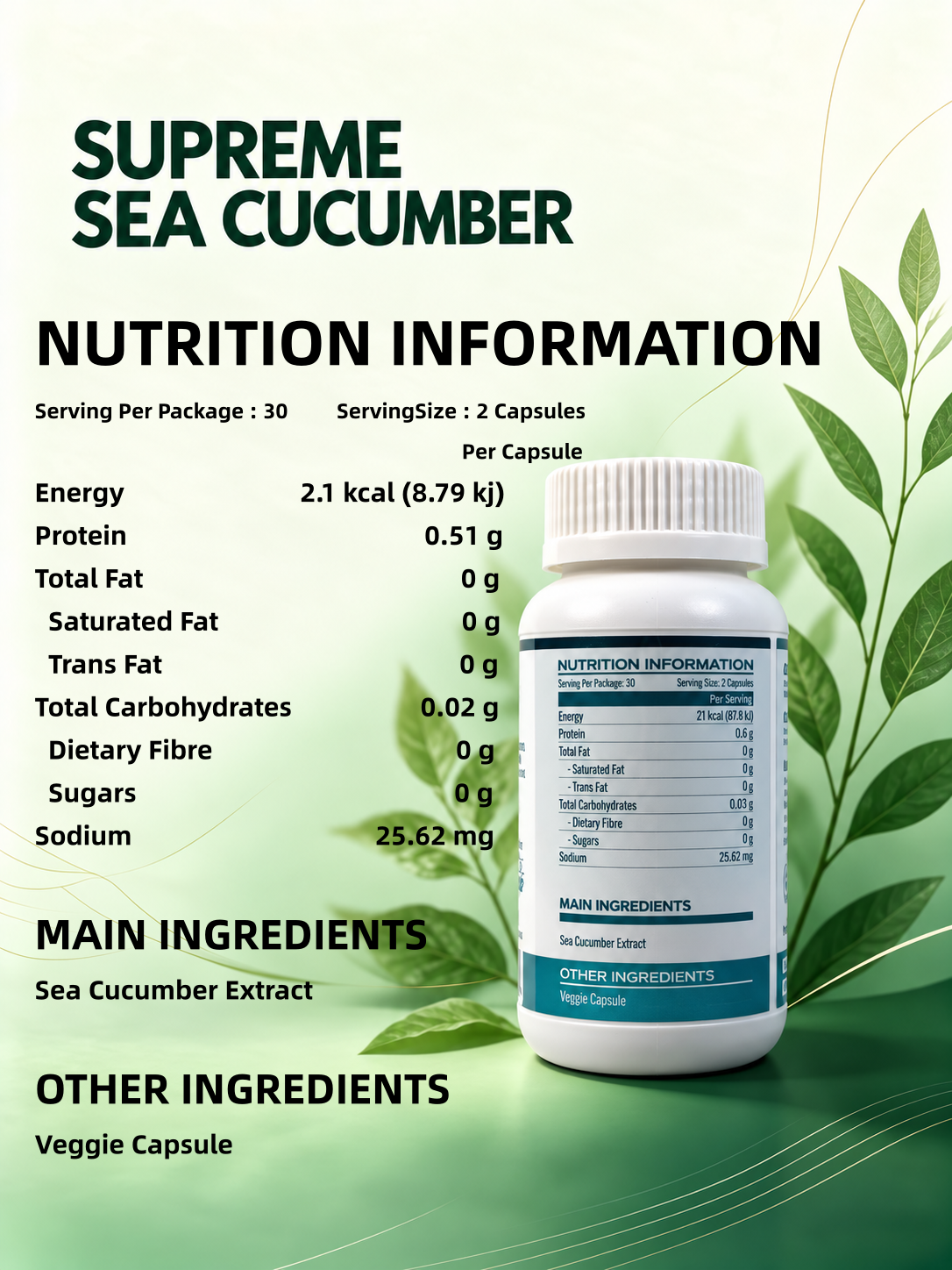 Supreme sea cucumber