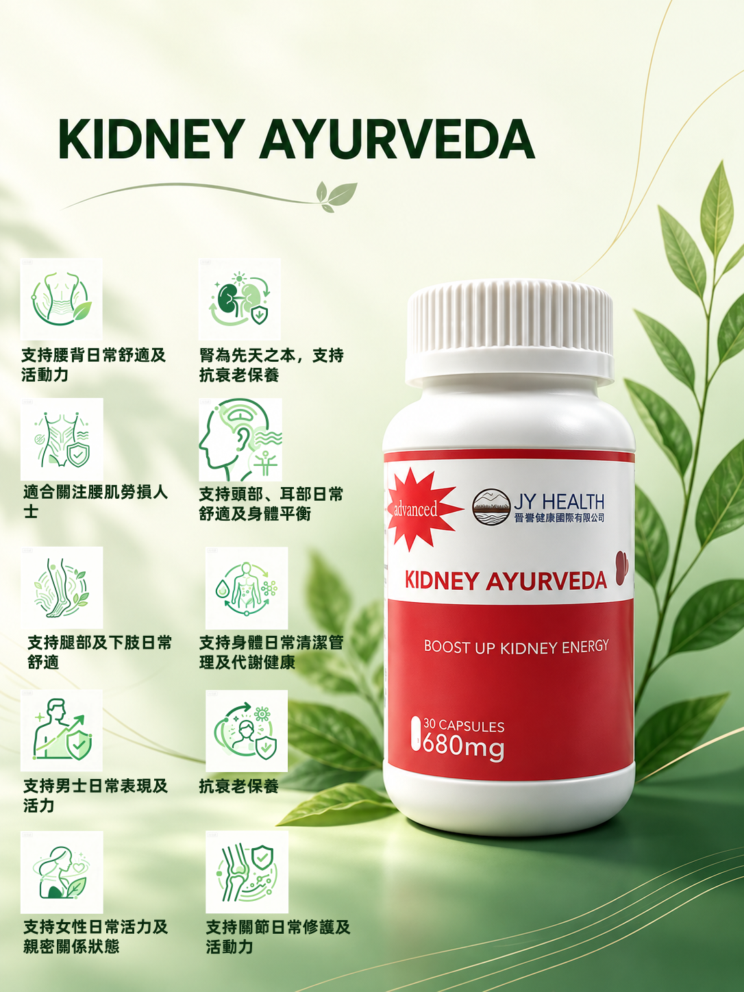 Kidney Ayurveda 
