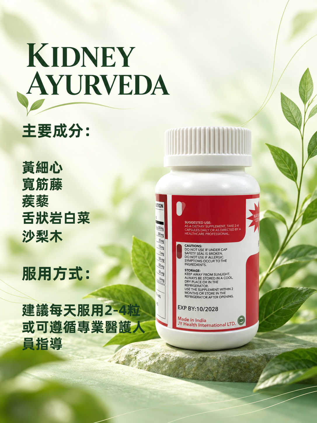 Kidney Ayurveda 