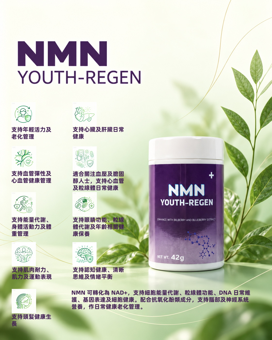 NMN Youth-Regen