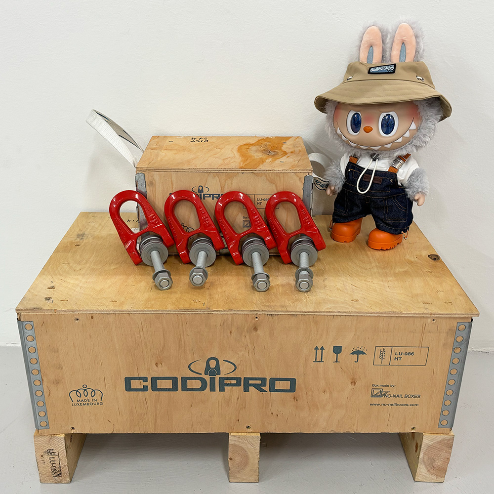 CODIPRO Double swivel lifting ring DSR