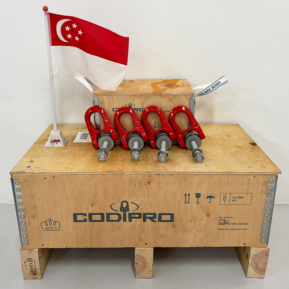 CODIPRO Double swivel lifting ring DSR