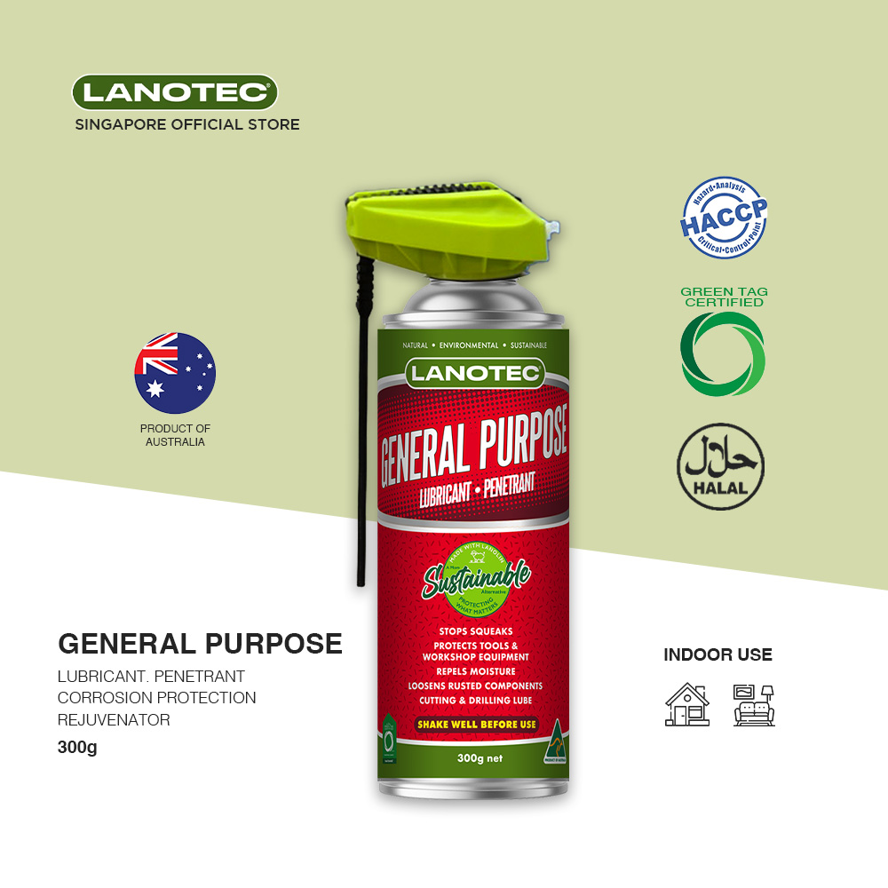 LANOTEC General Purpose 300g Aerosol