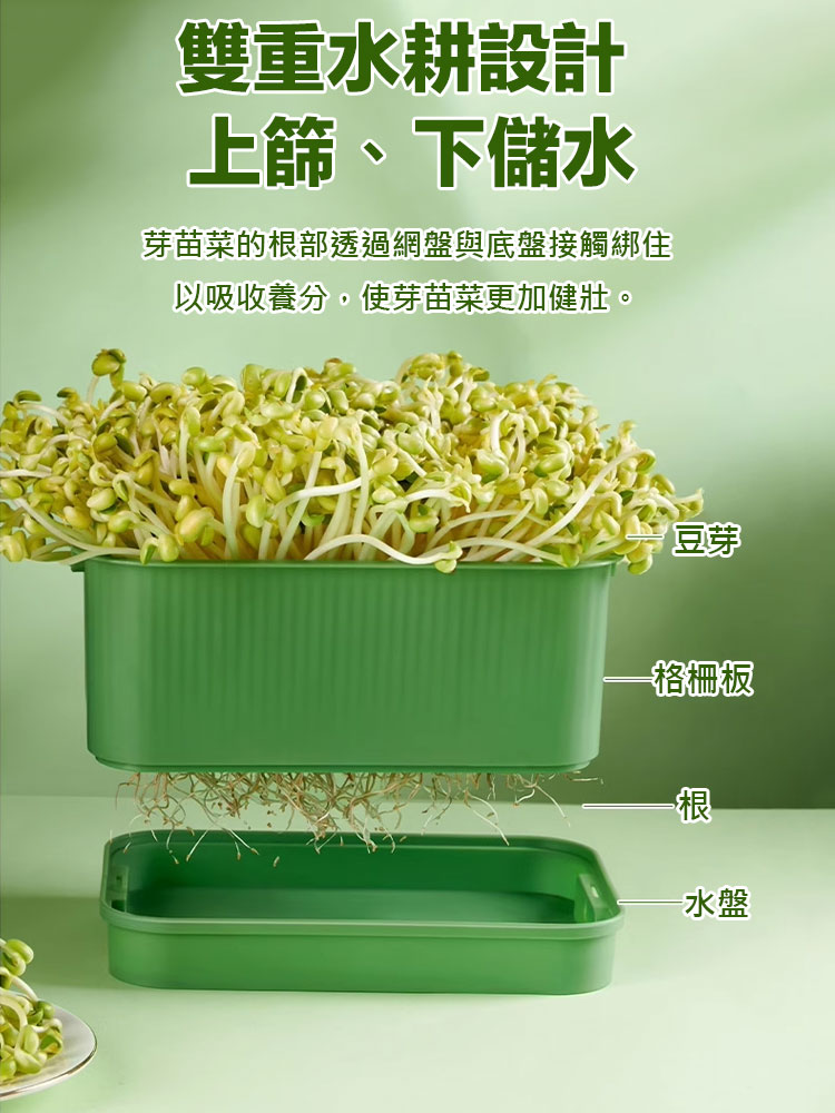 發芽專用種植盆