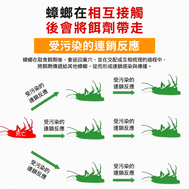 全窩端室內蟑螂藥滅蟑套裝