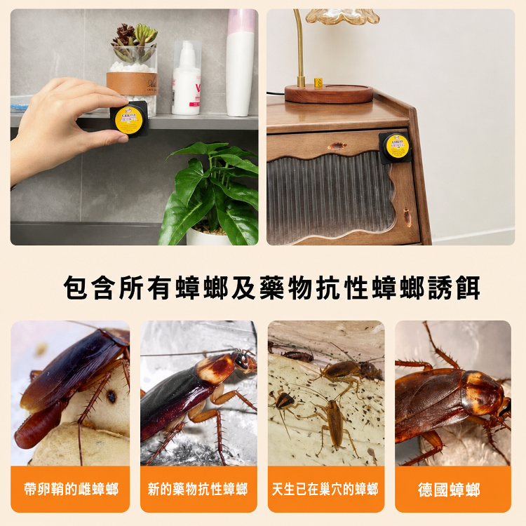 全窩端室內蟑螂藥滅蟑套裝