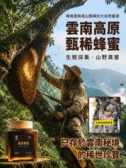 「只存於雲南祕境的稀世珍寶」雲南懸崖黑蜂蜜