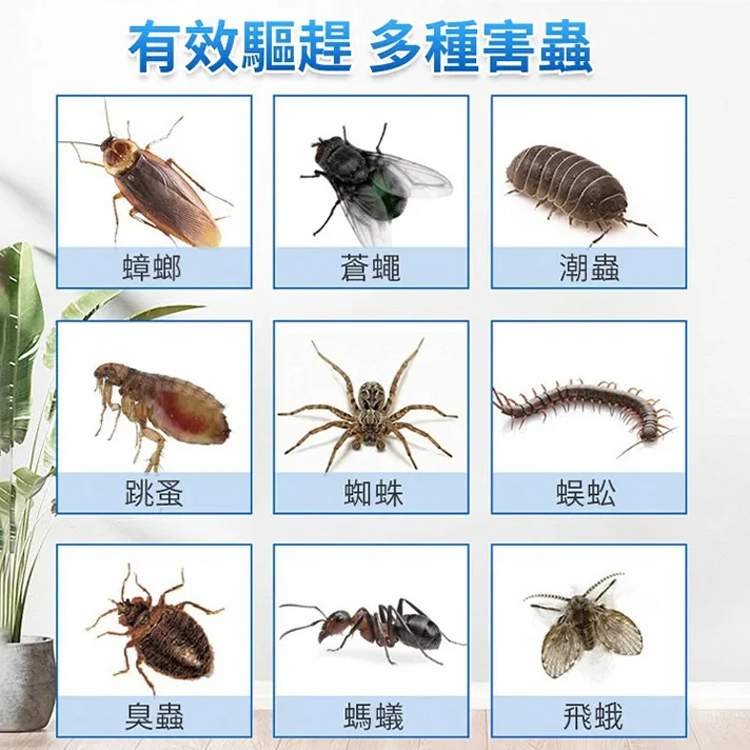 強效殺蟑餌劑