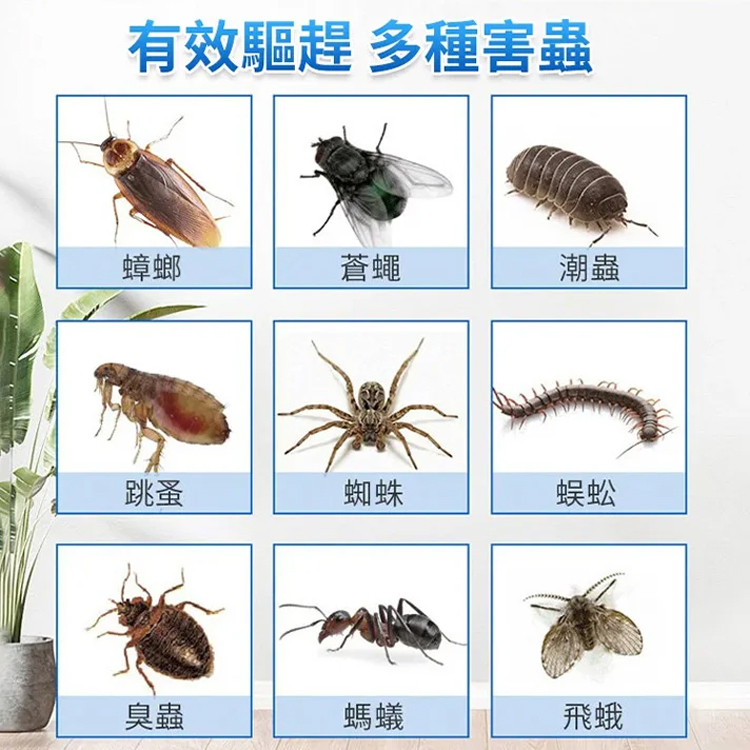 強效殺蟑餌劑