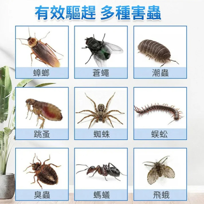強效殺蟑餌劑