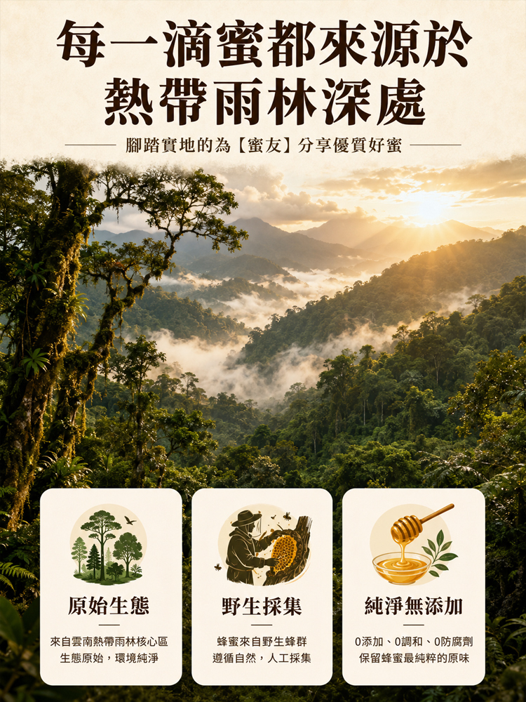 「只存於雲南祕境的稀世珍寶」雲南懸崖黑蜂蜜