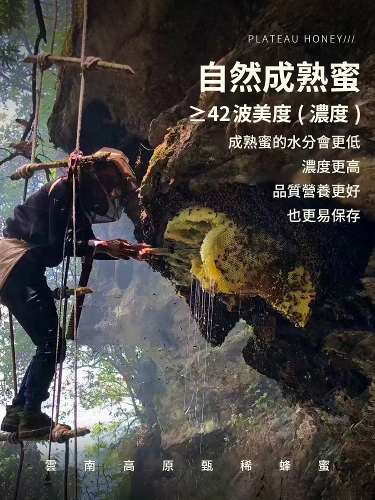 「只存於雲南祕境的稀世珍寶」雲南懸崖黑蜂蜜