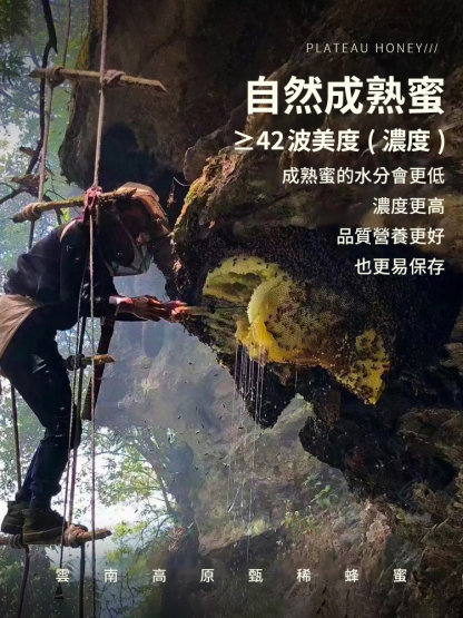 「只存於雲南祕境的稀世珍寶」雲南懸崖黑蜂蜜