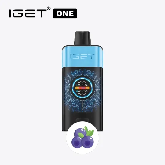 Blueberry Ice IGET ONE