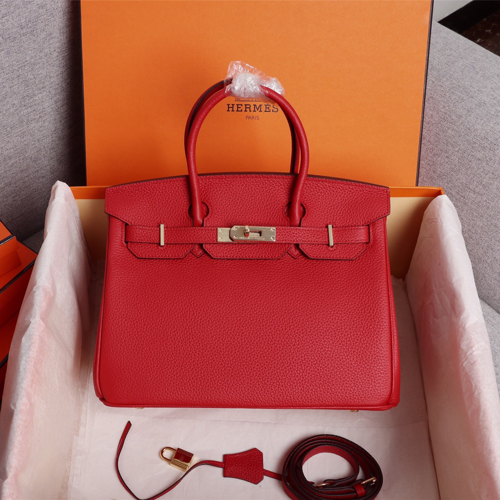 HERMES バーキン25 ポロサス ニロティカス