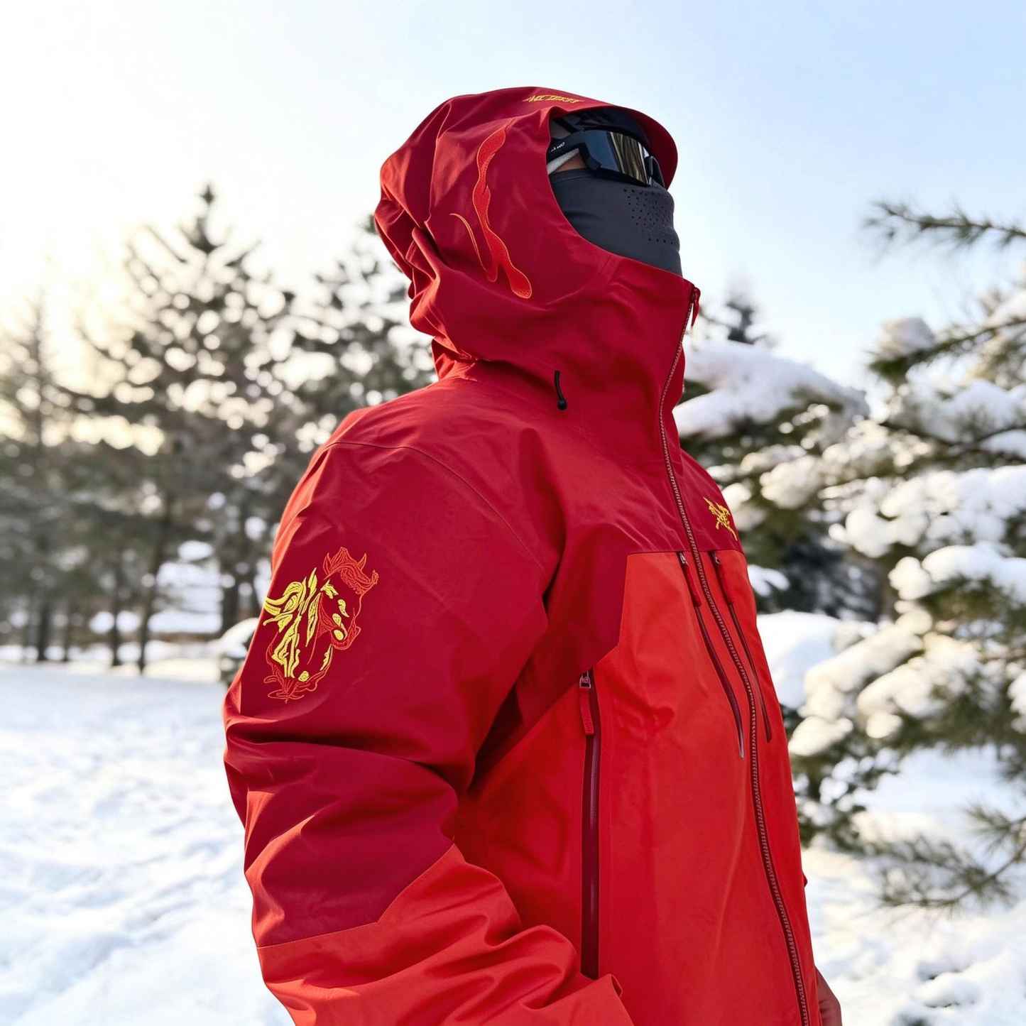 【ARC'TERYX】Aha SV7 ジャケット