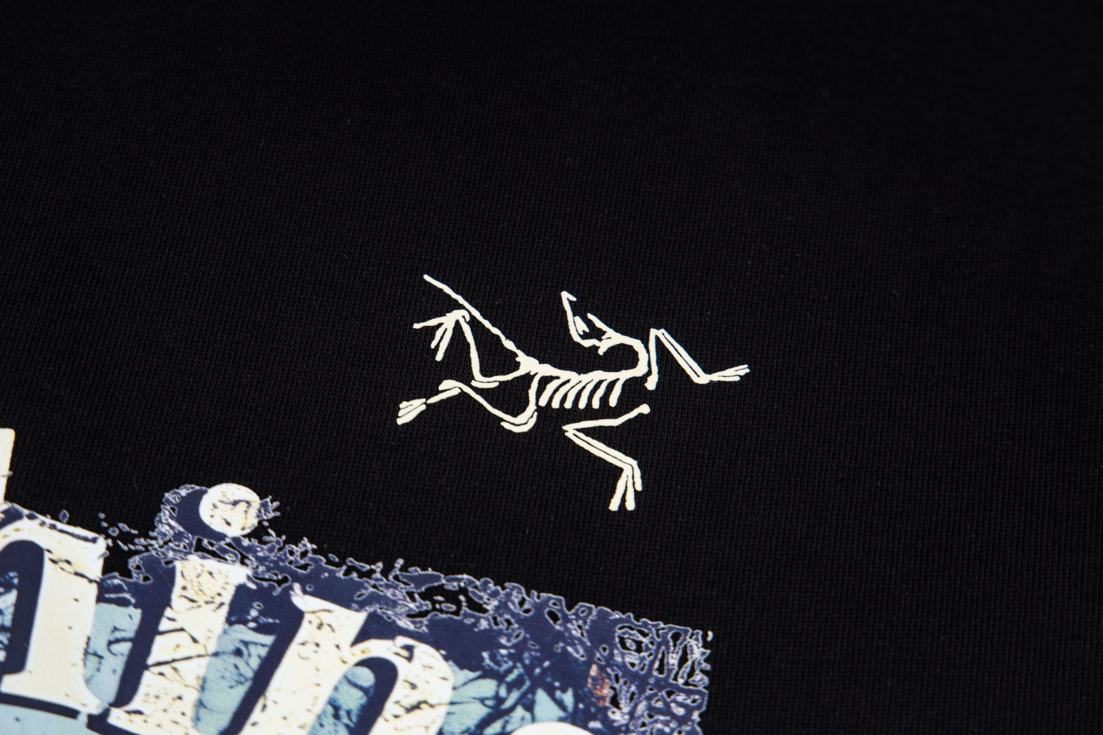 【ARC'TERYX】長袖 T シャツ