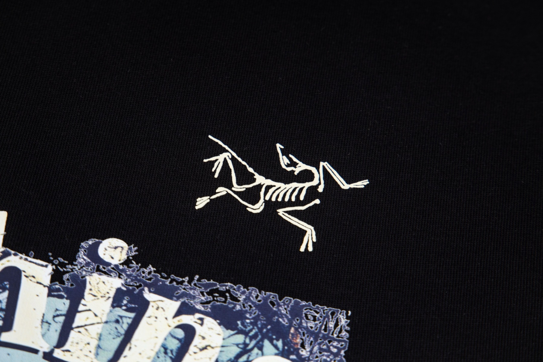 【ARC'TERYX】長袖 T シャツ