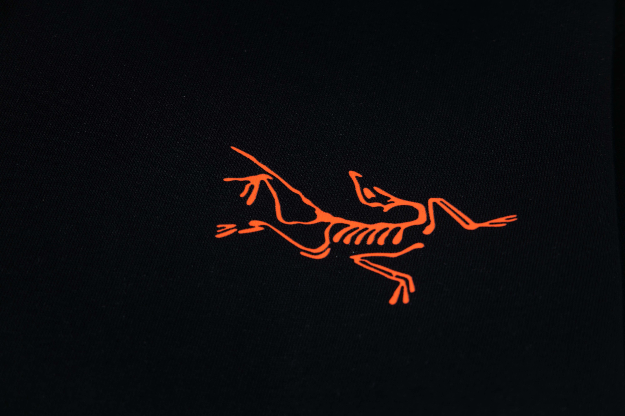 【ARC'TERYX】長袖 T シャツ