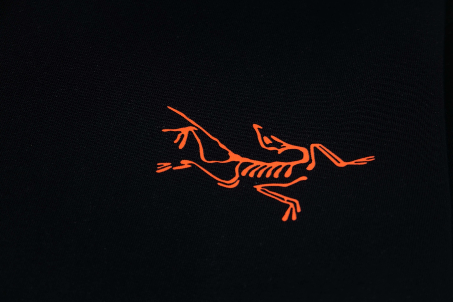 【ARC'TERYX】長袖 T シャツ