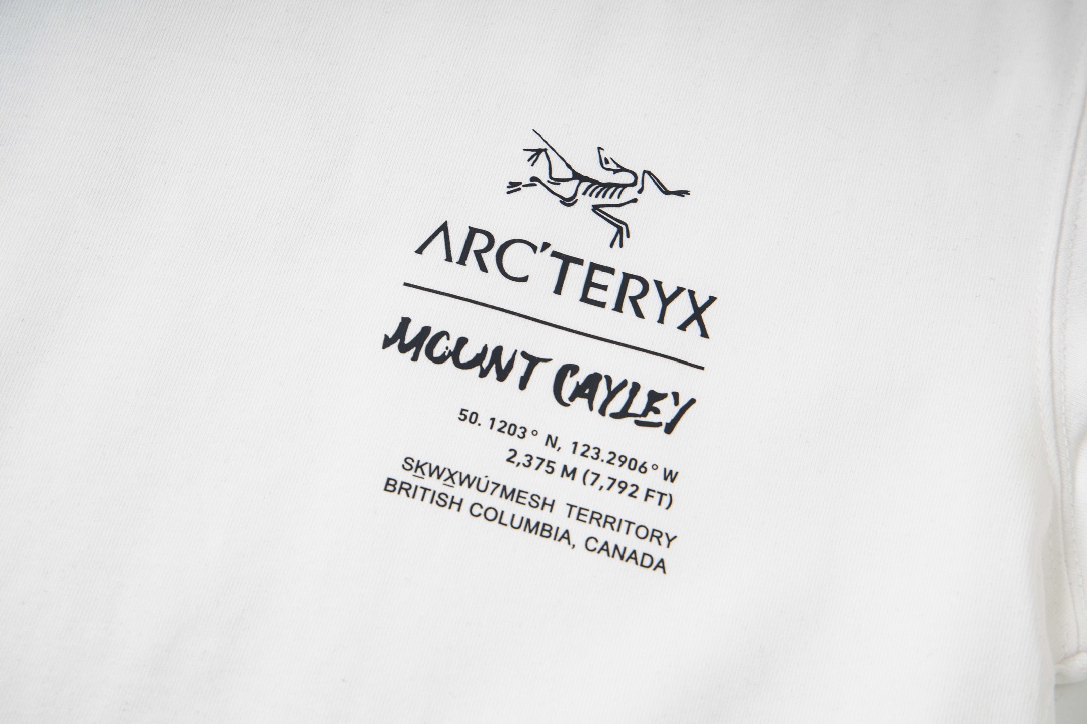 【ARC'TERYX】長袖 T シャツ