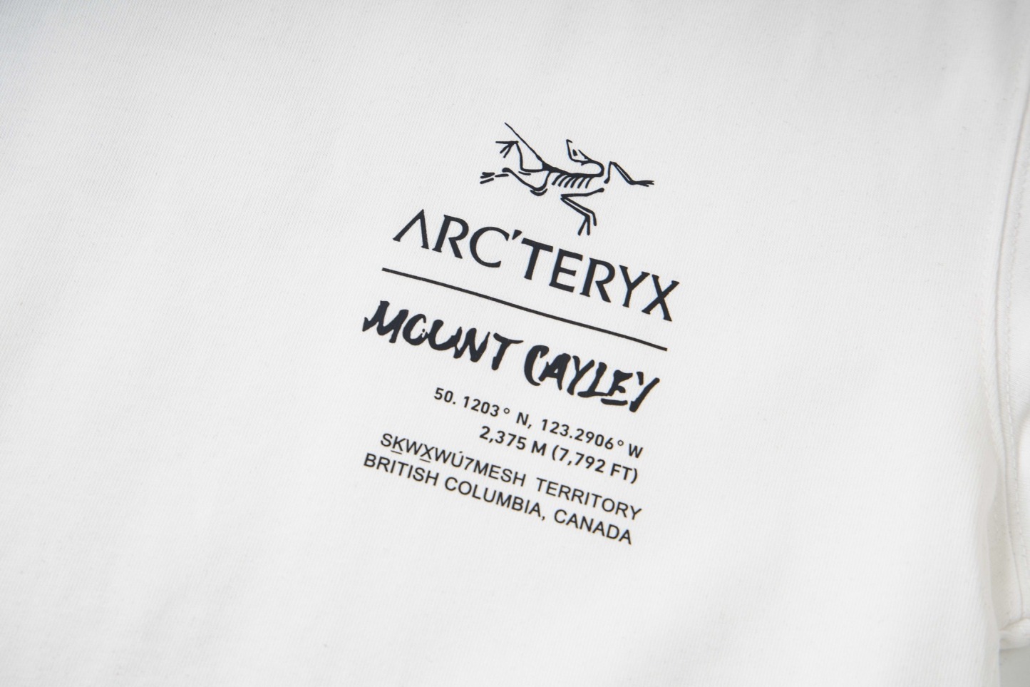 【ARC'TERYX】長袖 T シャツ