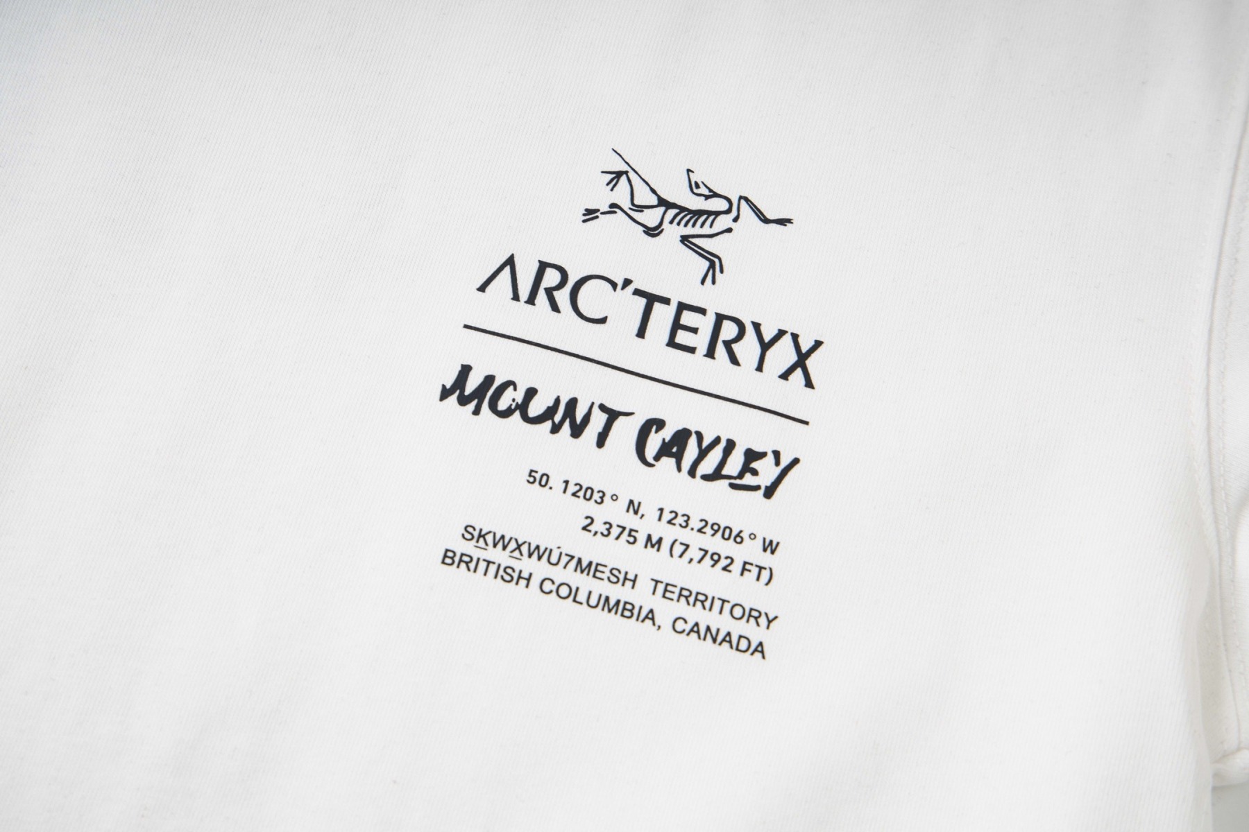【ARC'TERYX】長袖 T シャツ