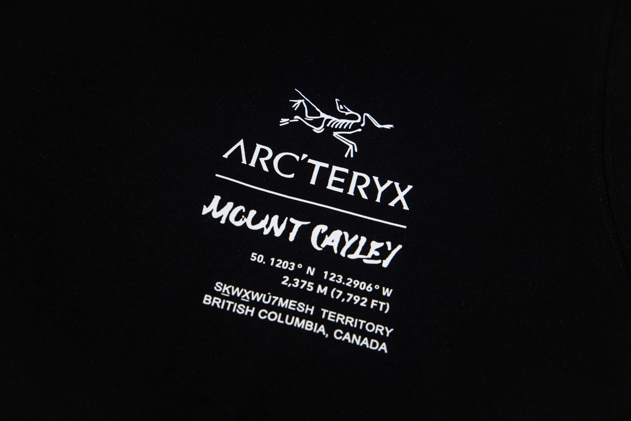 【ARC'TERYX】長袖 T シャツ