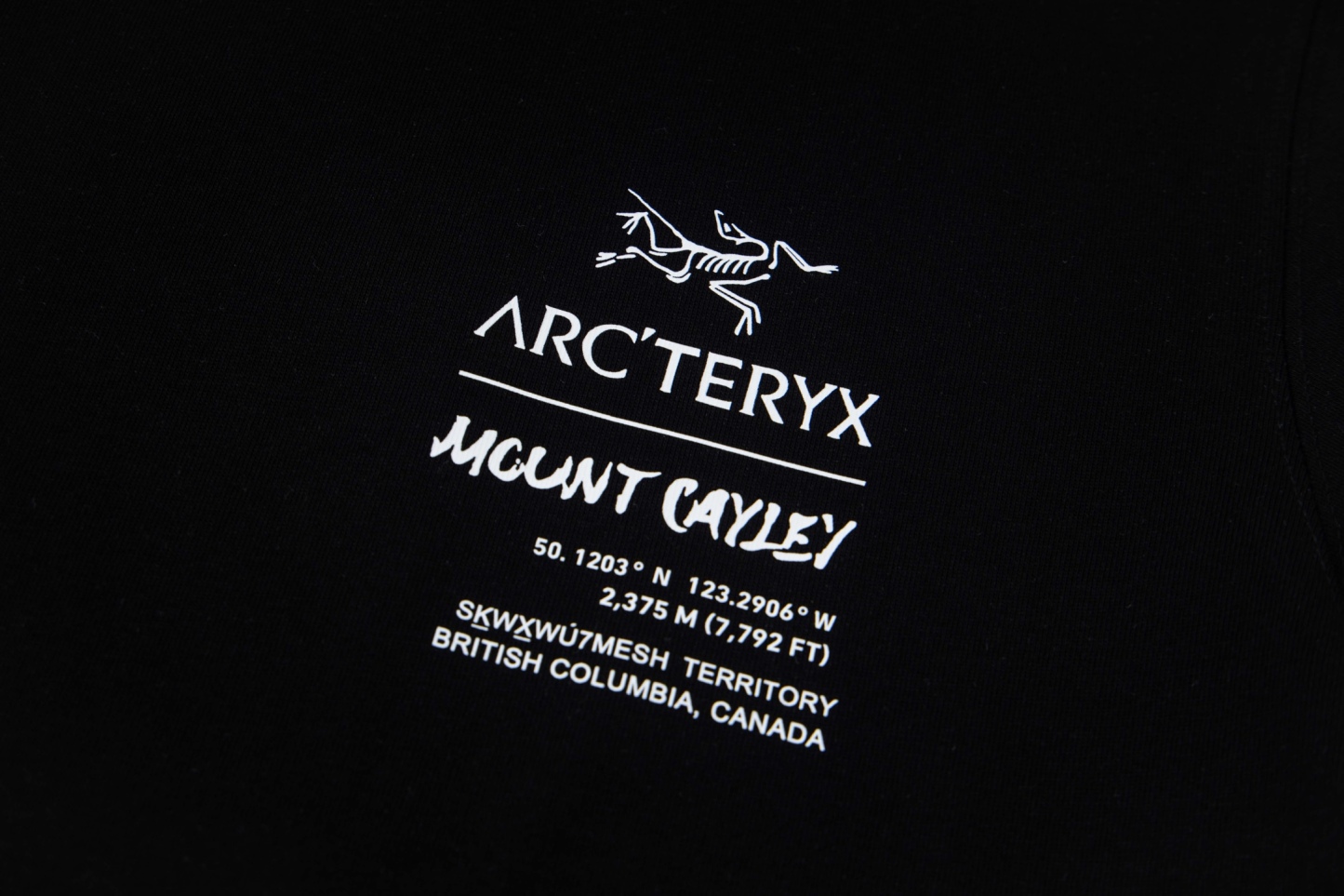 【ARC'TERYX】長袖 T シャツ