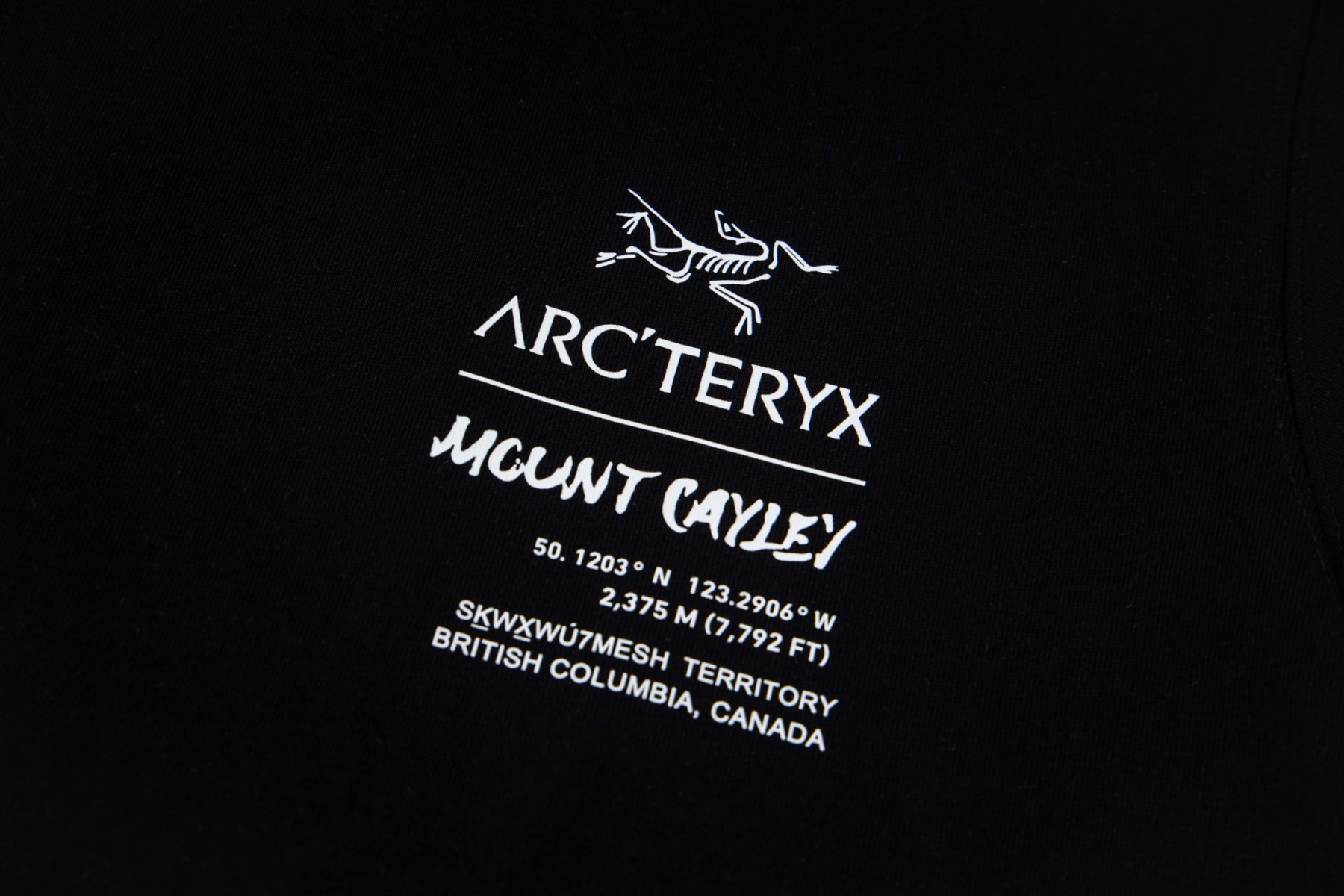 【ARC'TERYX】長袖 T シャツ