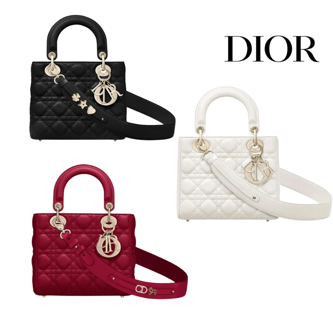 【DIOR旗艦店】 ディオール LADY DIORMY ABCDIOR ショルダーバッグ-BRAND OFF
