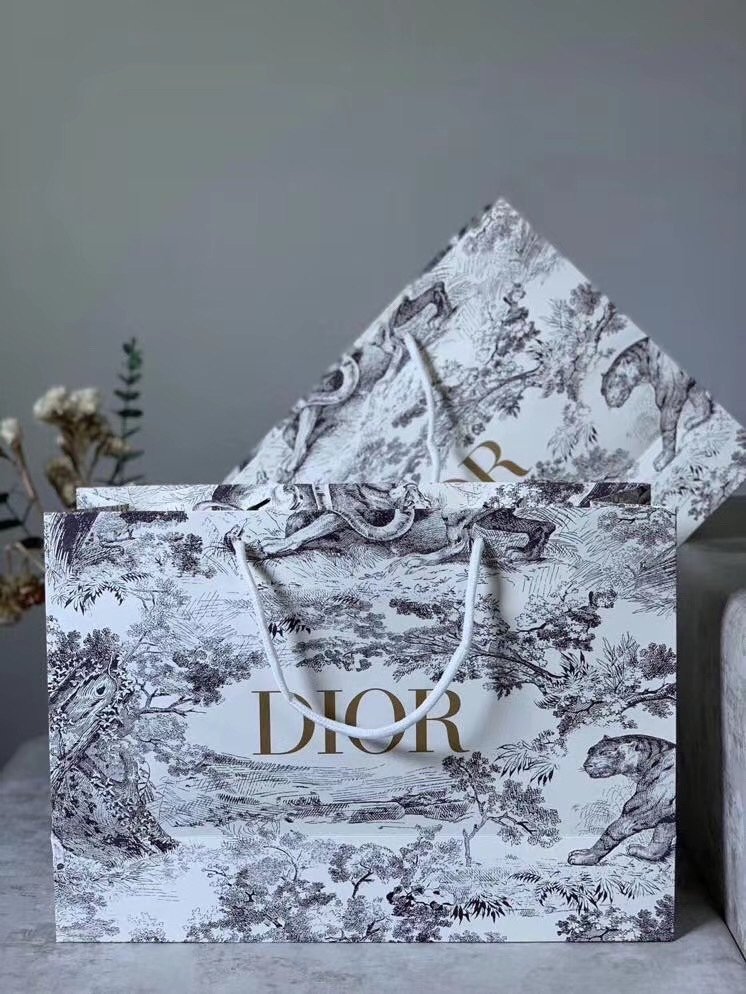 Christian Dior 【ディオール】バックパック 26x31cm-BRAND OFF