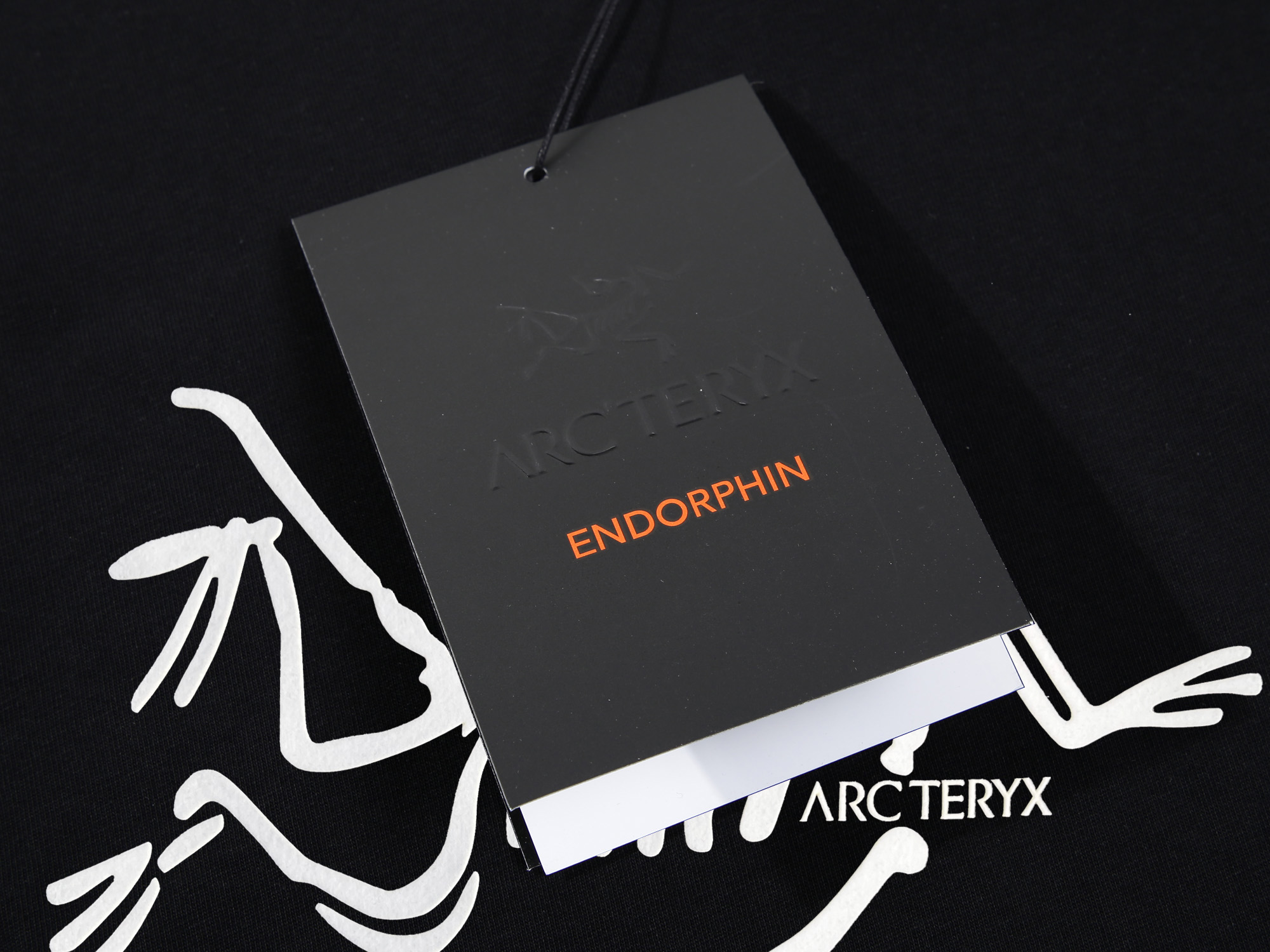 【ARCTERYX  公式旗艦店】 アークテリクス  Tシャツ ご好評に付き再入荷！250217-BRAND OFF